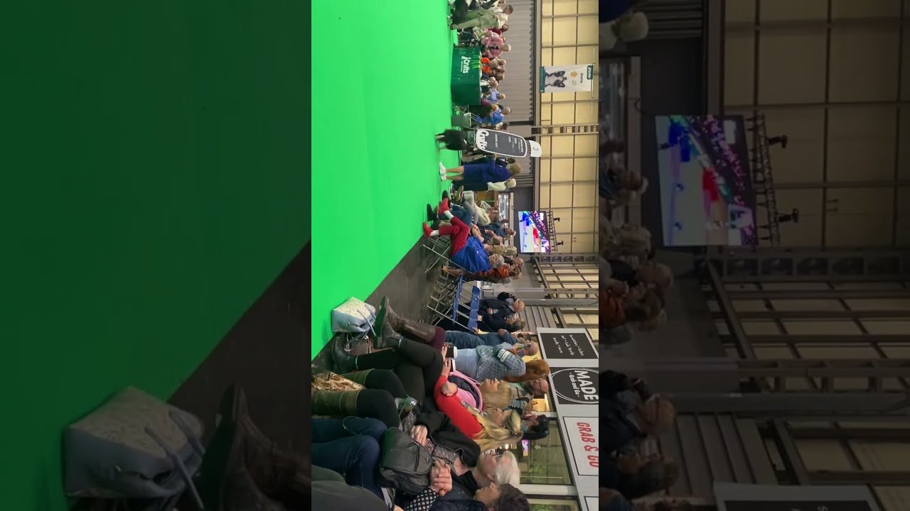 Crufts 2026 Border Collie Best of breed 