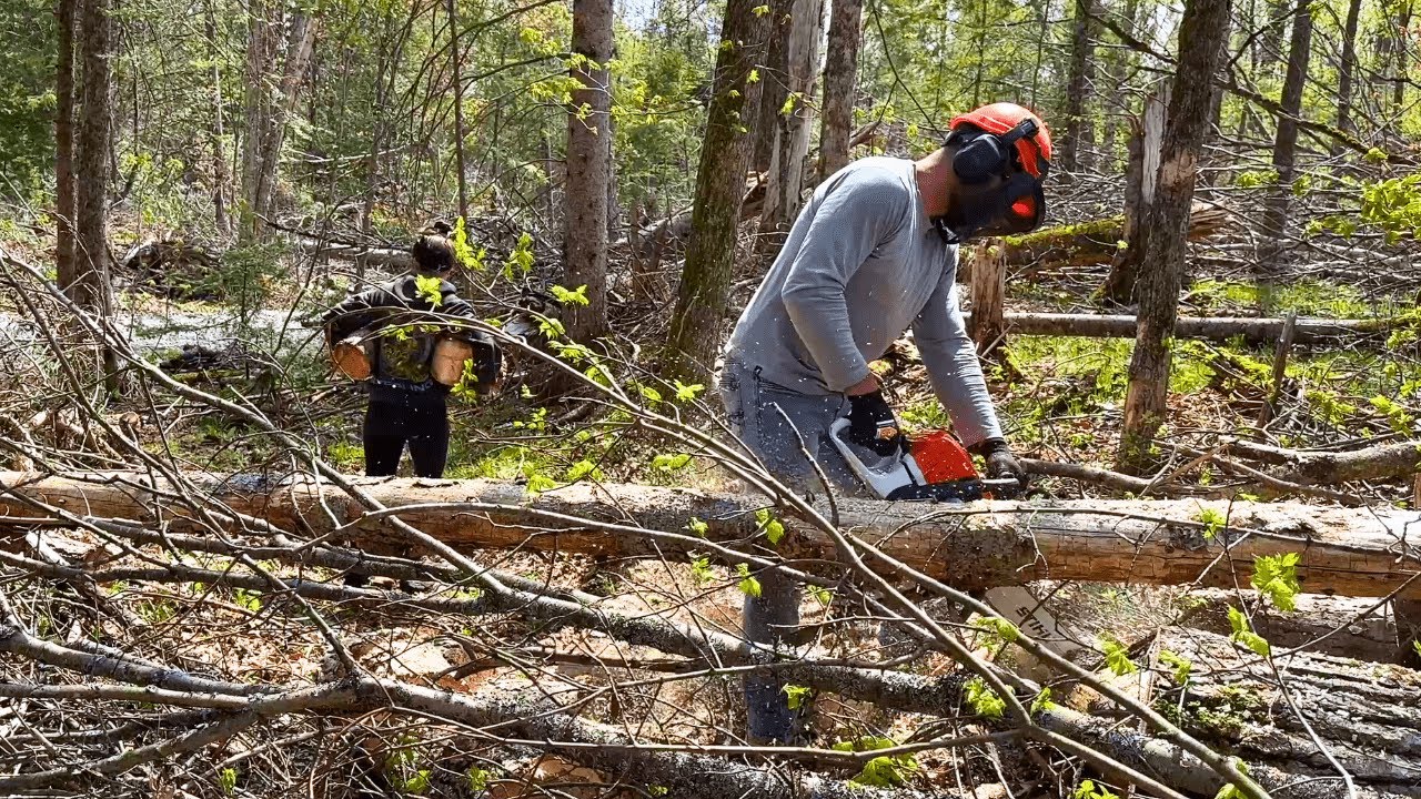A Day At The Off Grid Cabin | Cutting fire wood 🪵