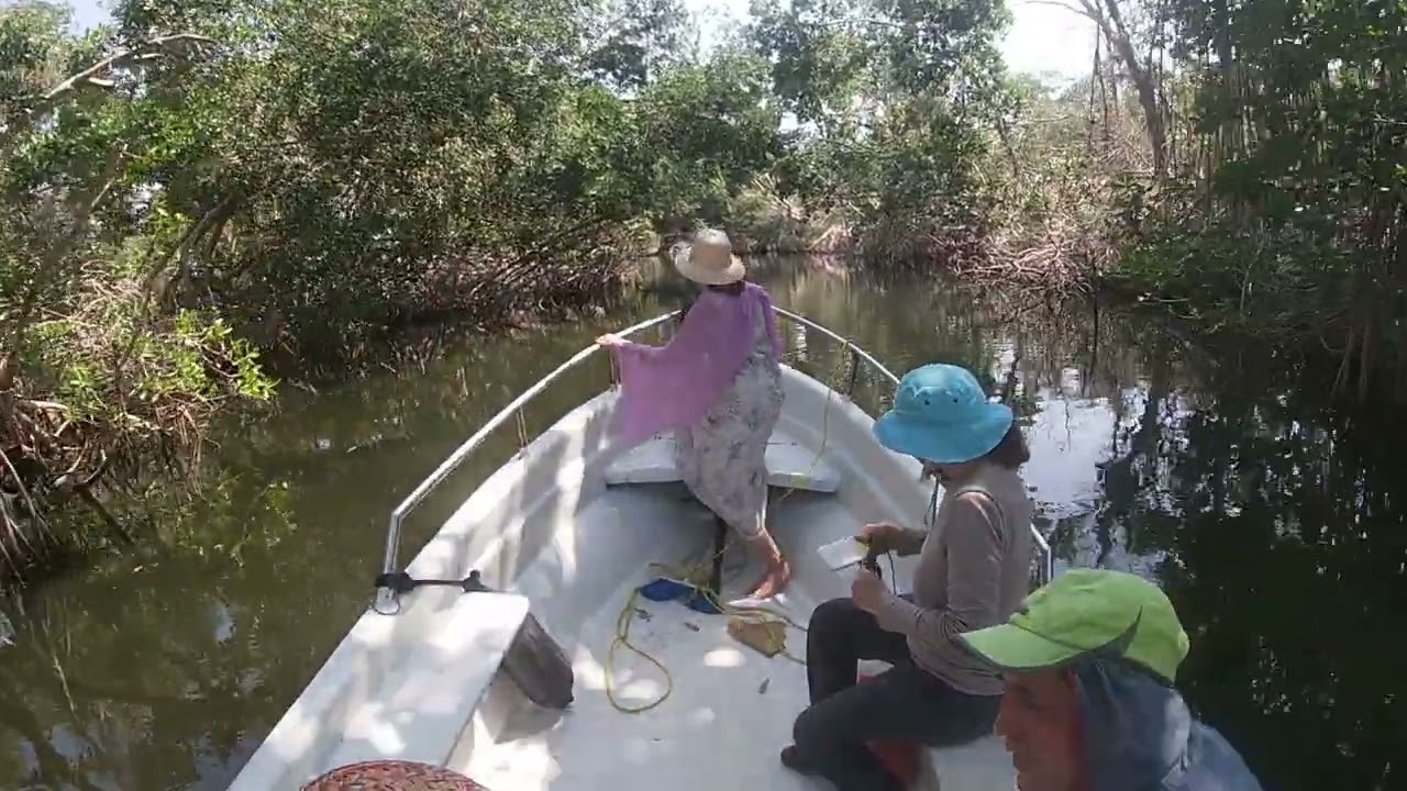 Laberinto escondido en Laguna de Chacahua