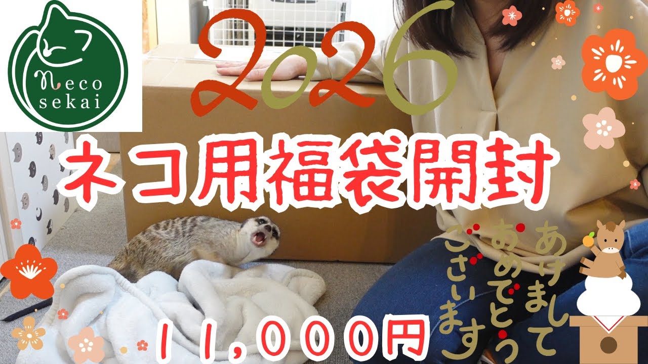 【猫用福袋】2026年ネコセカイ福袋開封！！