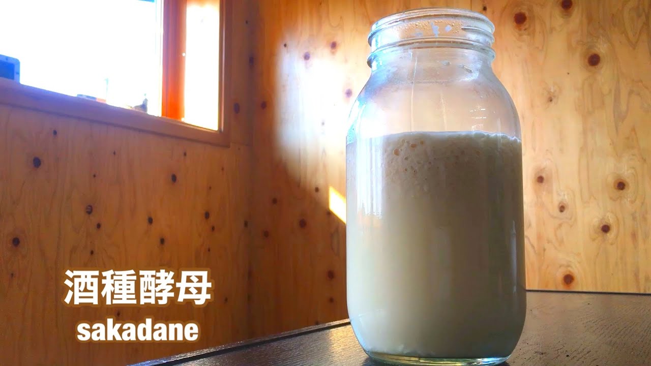 酒種酵母の作り方｜自家製酵母パン