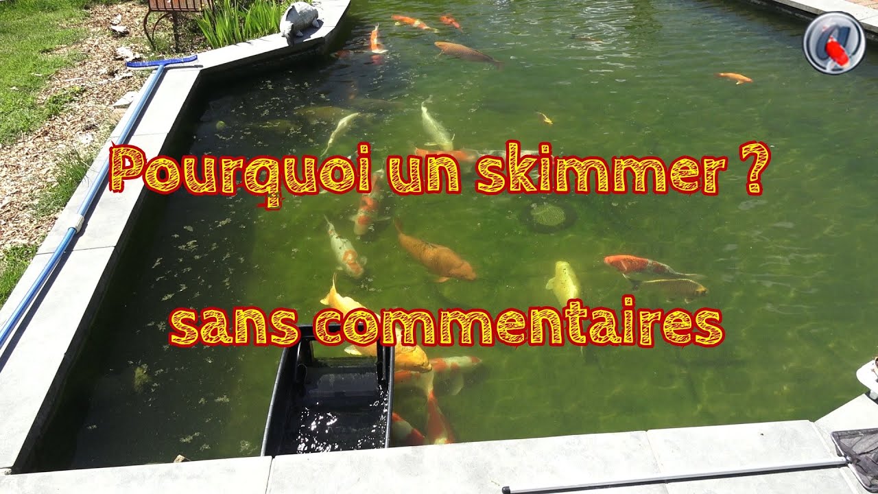 pourquoi un skimmer  sans commentaires