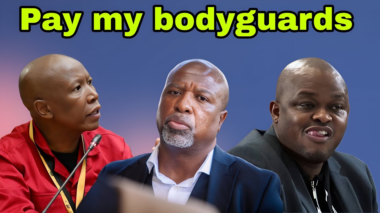 Brown Mogotsi disrespects Adhoc committee and demands payment for bodyguards.