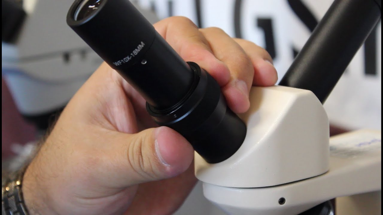 How to use a microscope with a teaching head