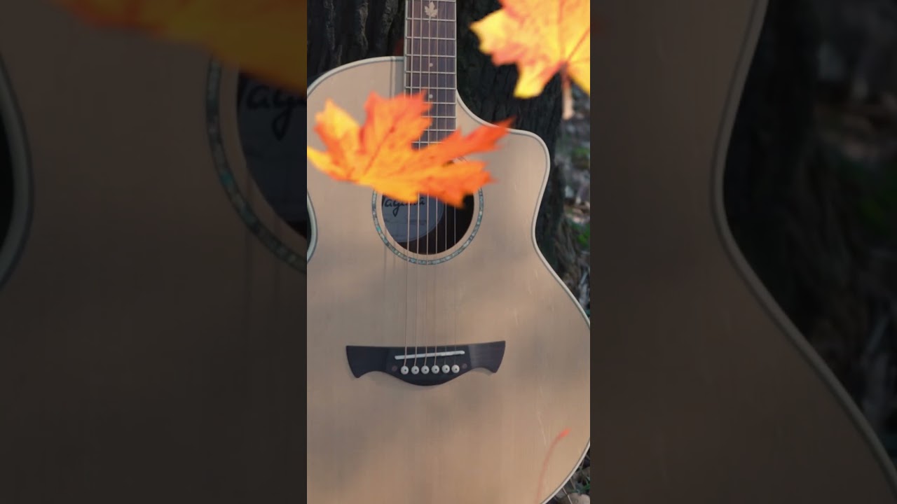 Lançamento Tagima Canadá Series: Toronto, Halifax e Barrie