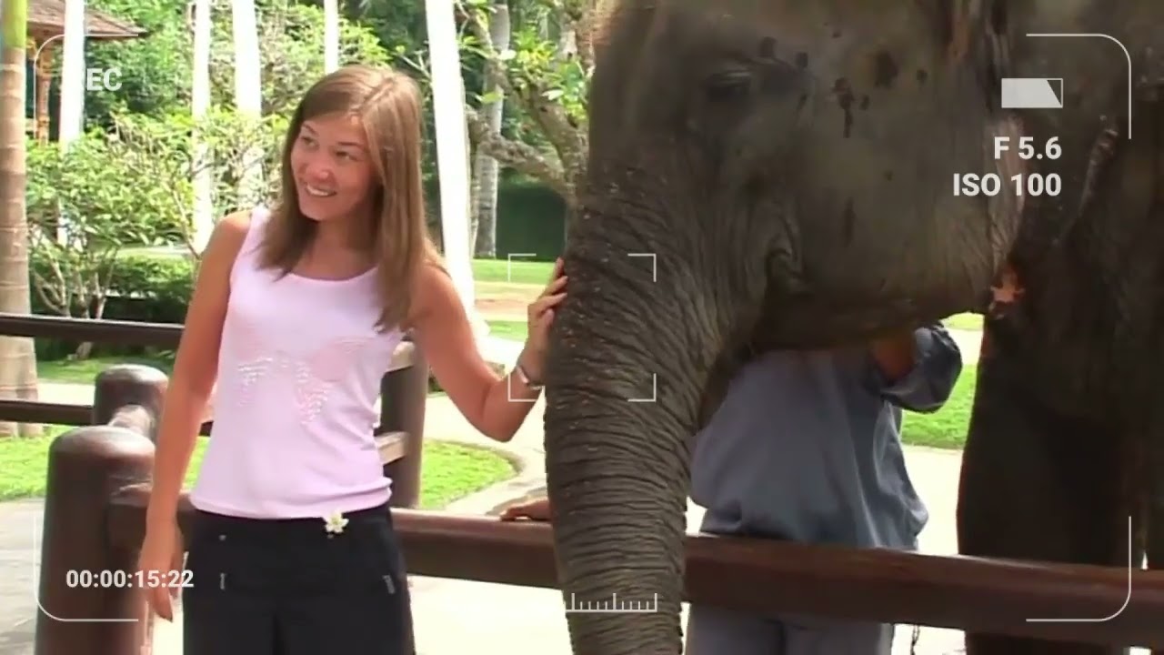 Bali Elephant Ride at Mason Elephant Park Taro | Ubud Elephant Adventure