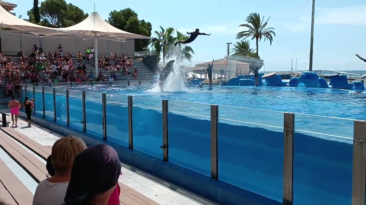 Marineland Majorca - Dolphin Show