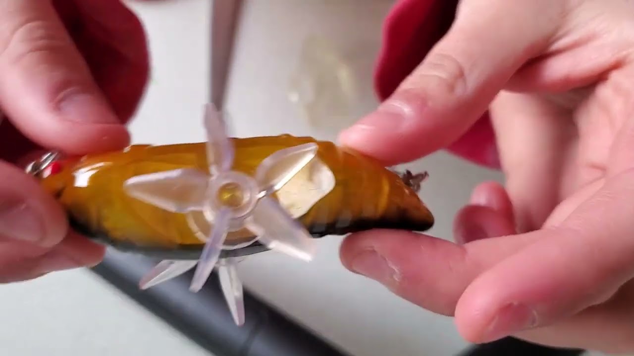 TEMU FISHING LURES REVIEW!!! #temu #fishing 