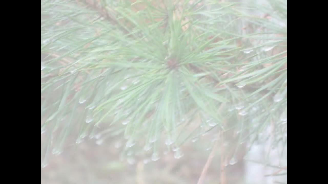 Pisara riittää - janoinen kiittää