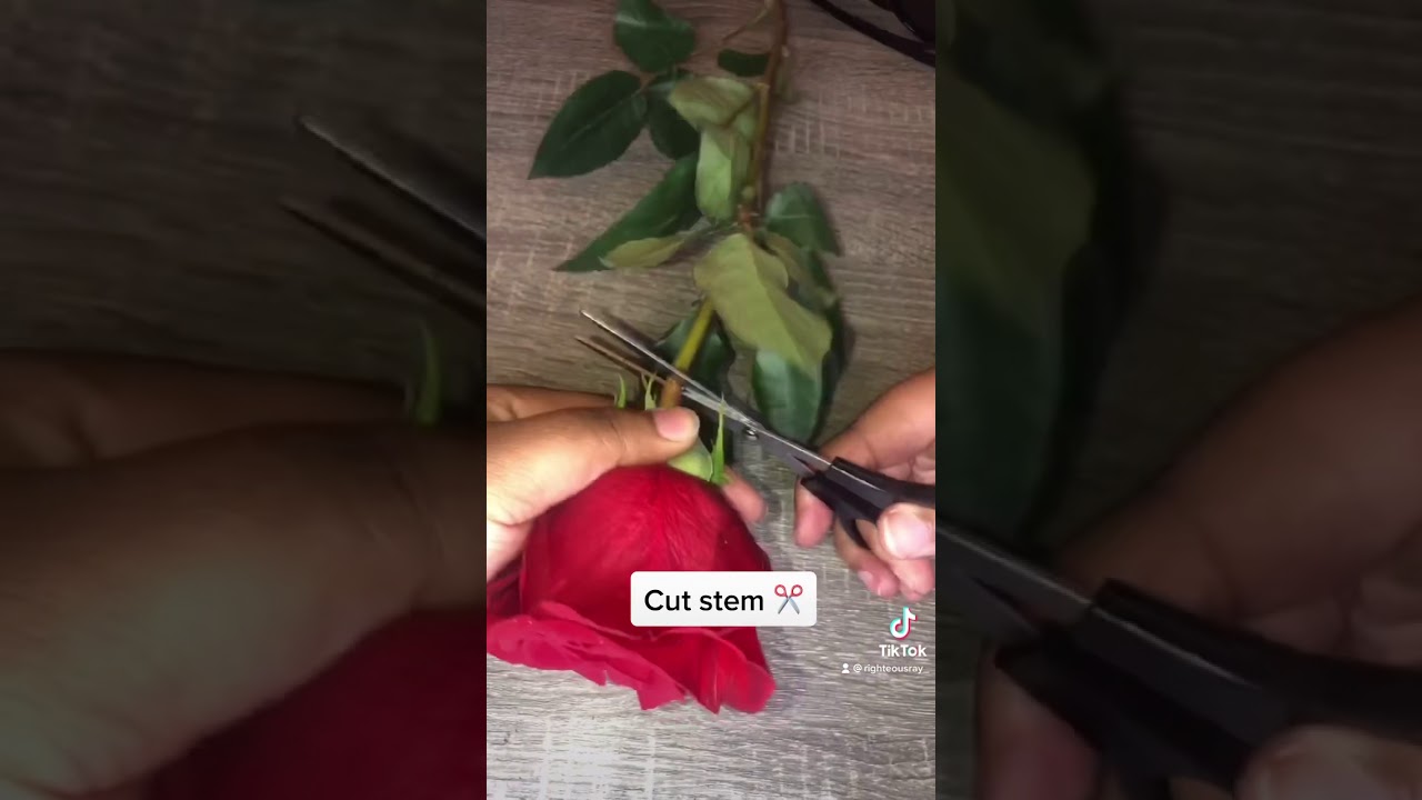 How to roll a rose blunt