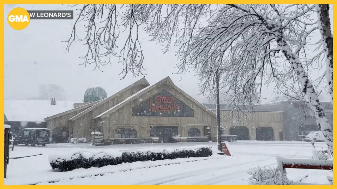 Grocery store chain Stew Leonard’s in full winter storm mode