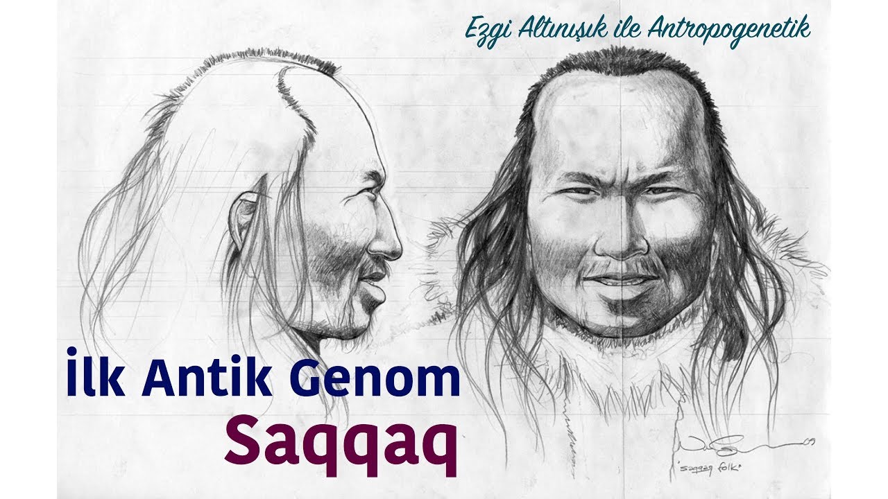 İlk Antik İnsan Genomu: Saqqaq | Ezgi Altınışık ile Antropogenetik #3