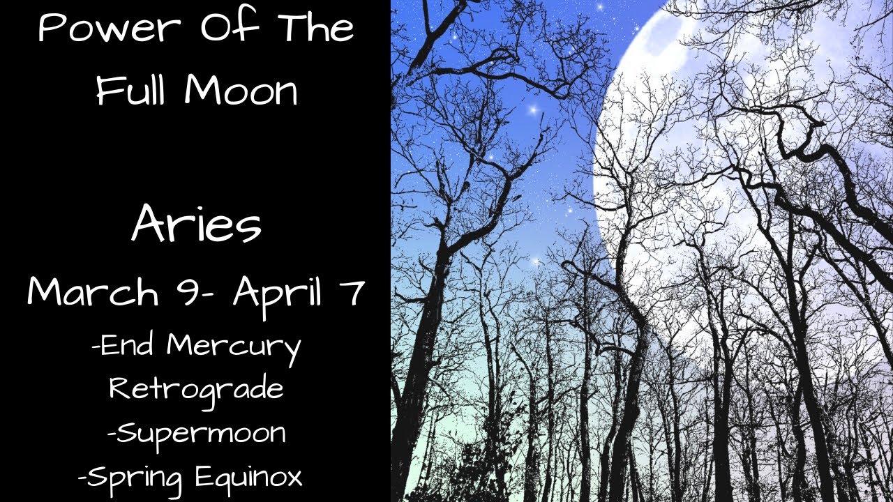 Aries, Tremendously Powerful Dreams Come True | Psychic Empath Tarot Reading