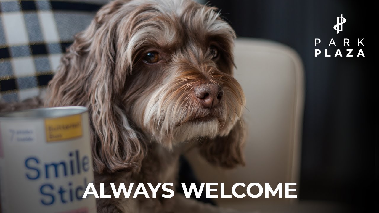 Park Plaza Pets: Always Welcome