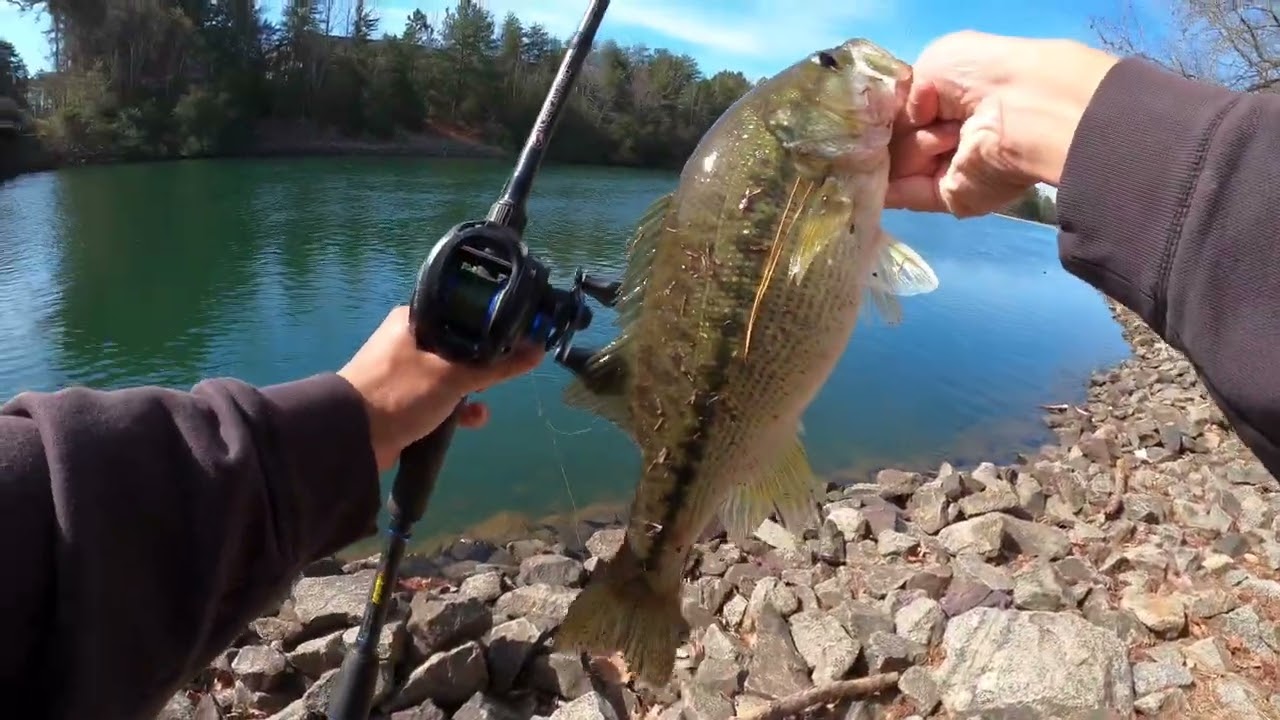 Early Spring BANK FISHING Lake Norman
