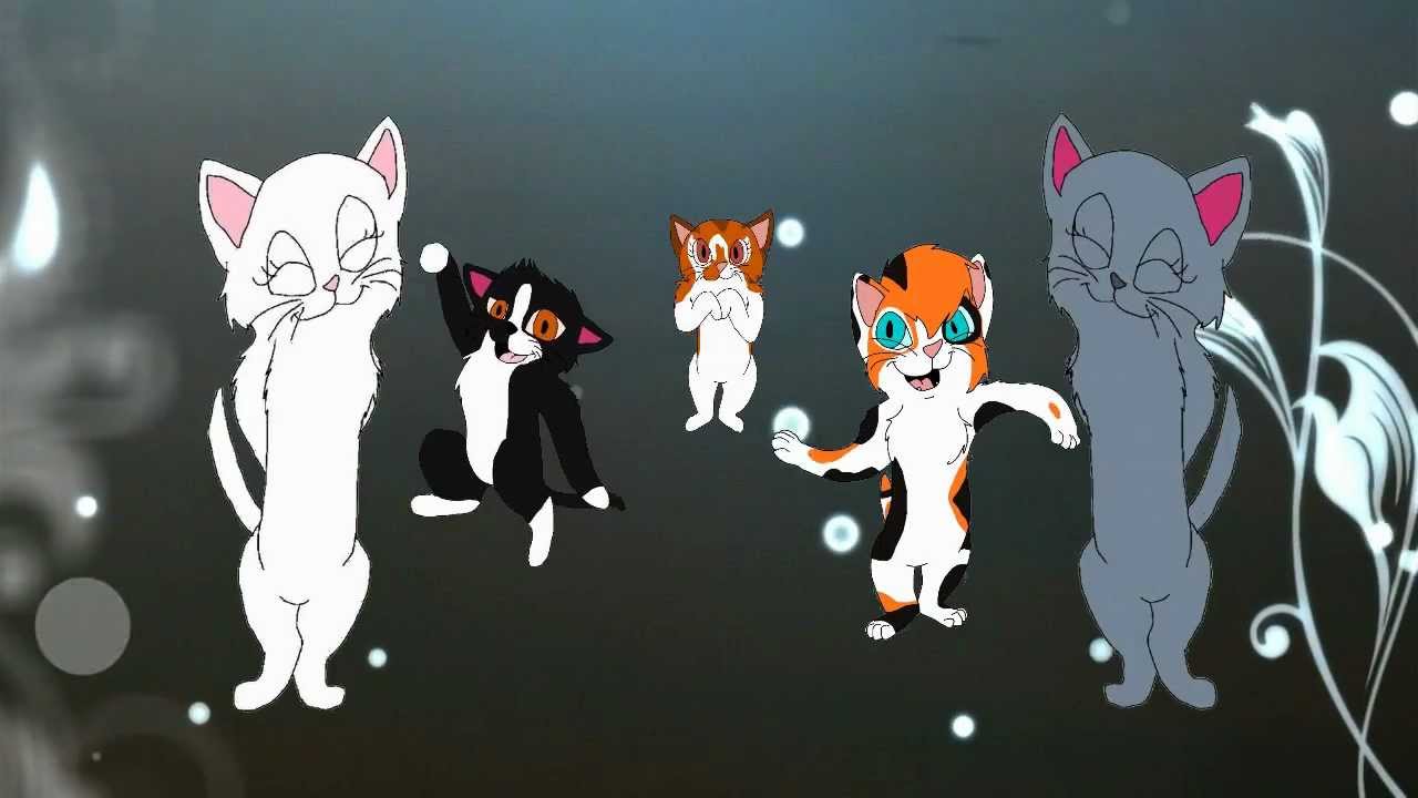 Cat's Groove