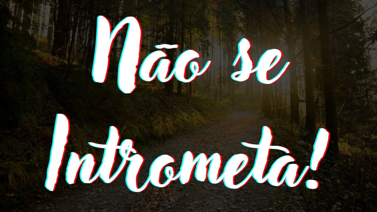 NÃO SE INTROMETA, CUIDE DA SUA VIDA E NÃO ASSUMA RESPONSABILIDADES QUE NÃO SÃO SUAS-LUIS ALAPONT 