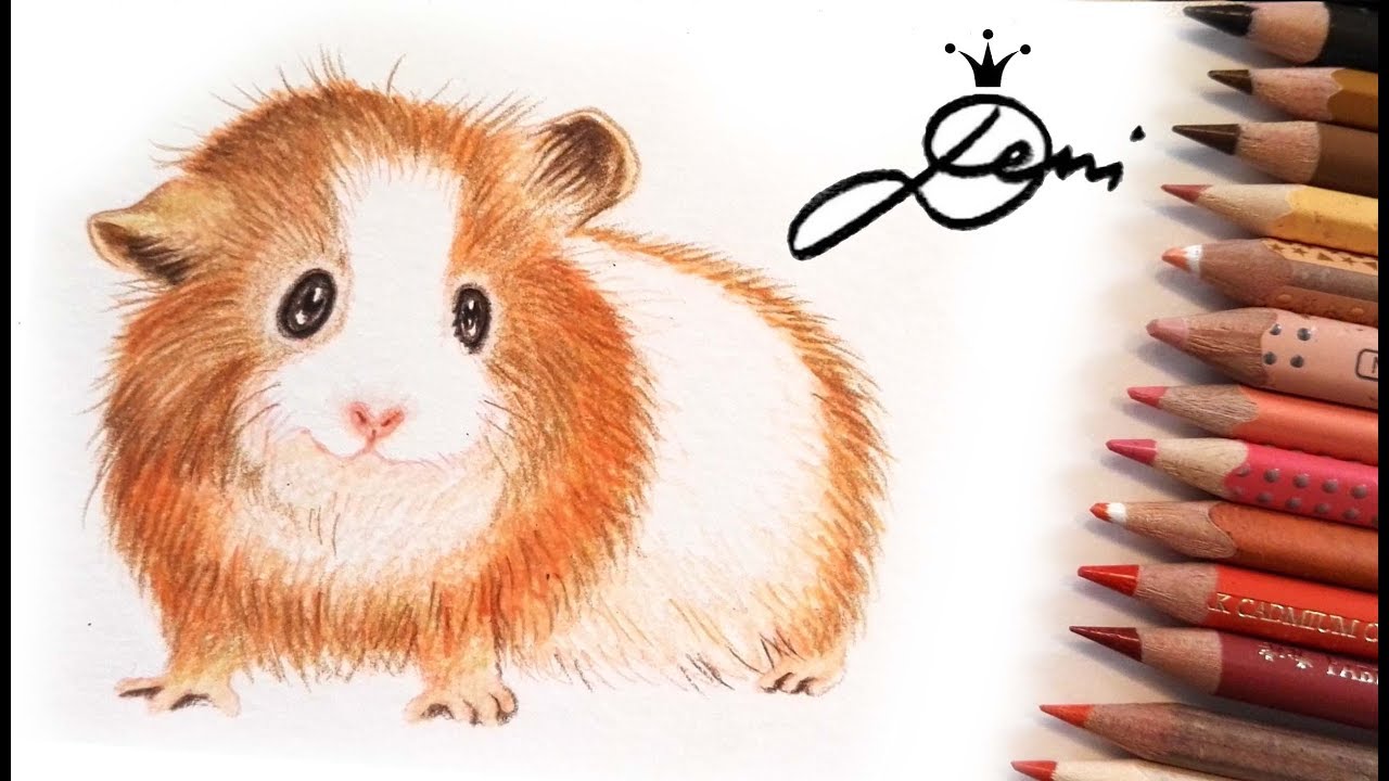 🐹 Meerschweinchen zeichnen 🐹How to draw a domestic Guinea pig - Cavy🐹 Kак се рисува морско свинче