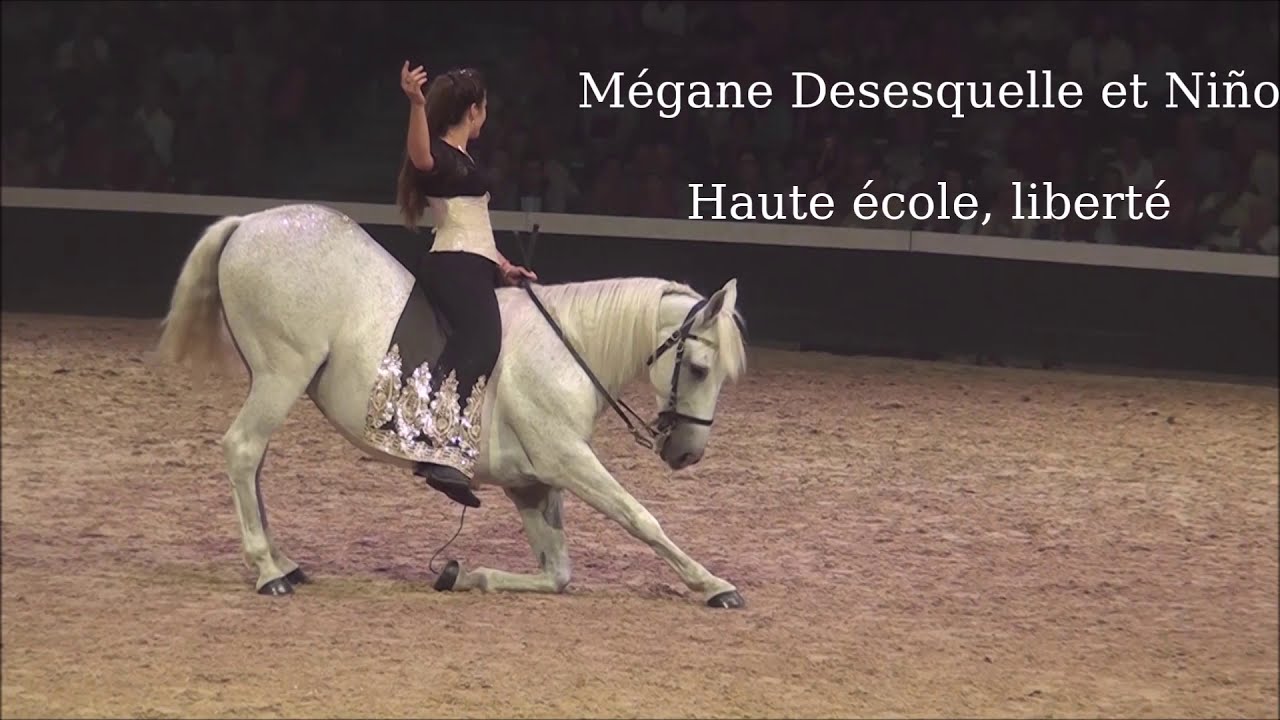 Mégane Desesquelle et Niño - Haute école