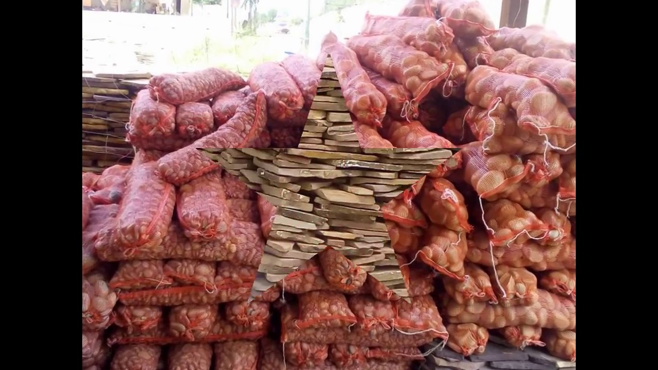 PIEDRA LAJA Y CANTERA   8186570203 MTY NUEVO LEON