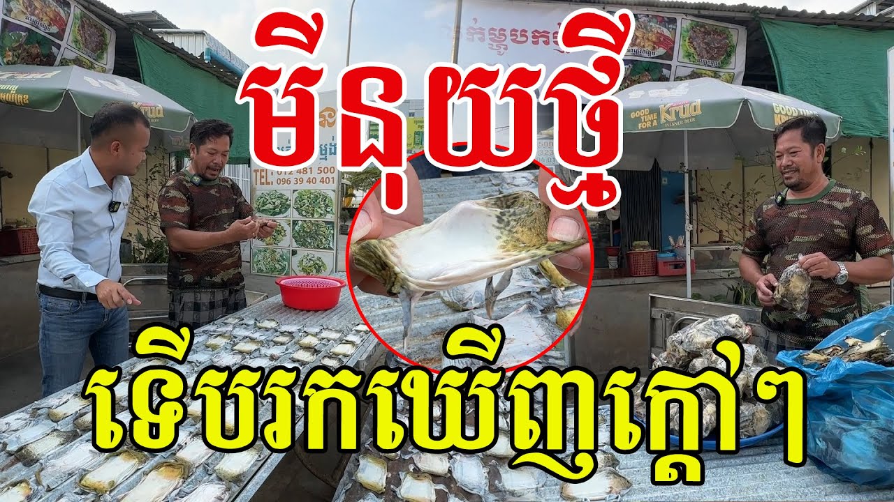 មីនុយថ្មី ធានាថាប្លែក បានសាកនៅបងប្អូន?
