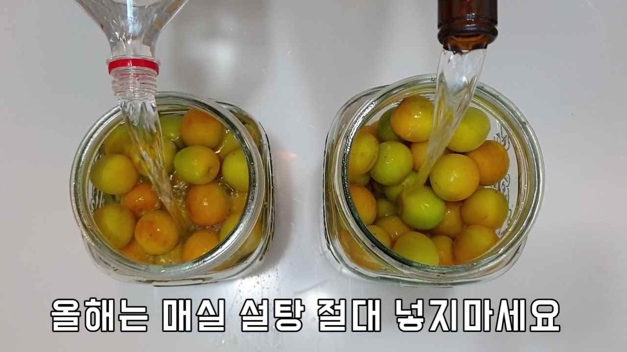 매실청 설탕 절대 안들어가는 비법 4가지