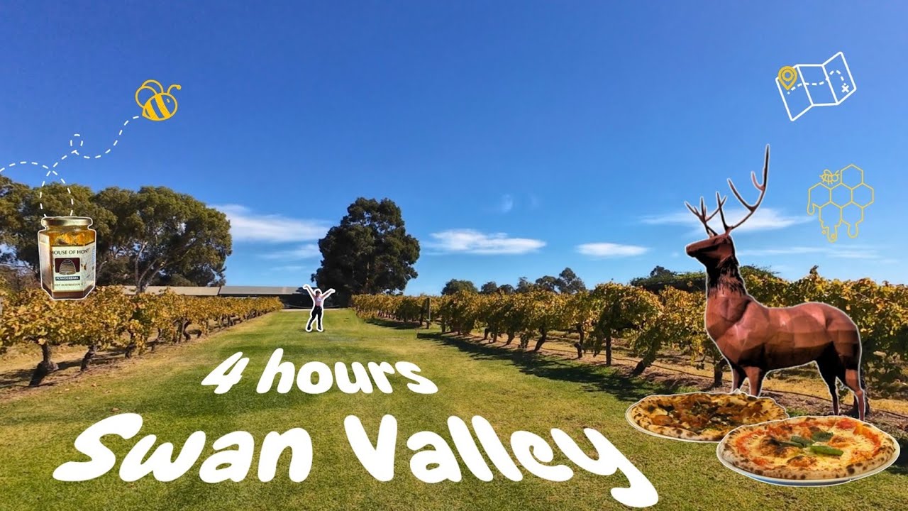 Swan Valley Day Trip 🦢| shopping for REAL honey, river hiking, winery visit | Perth Vlog