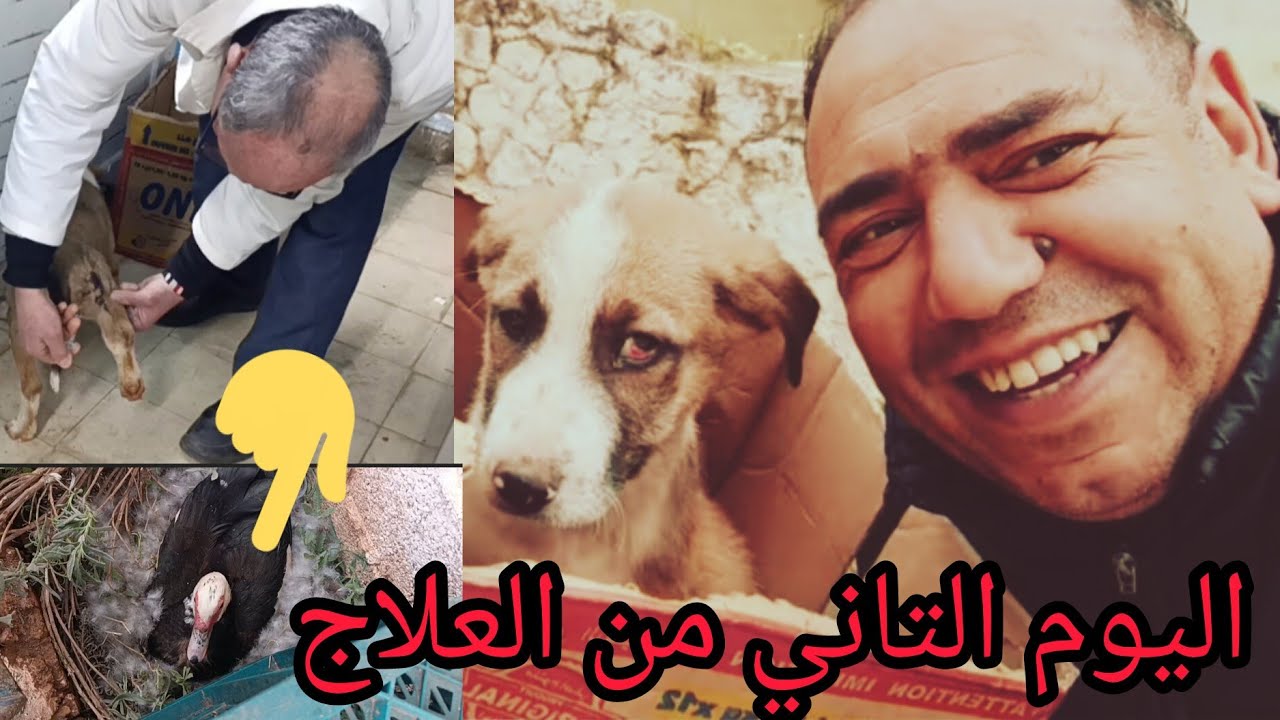 🏞️اليوم التاني عشر من رمضان💯نايضة في مزرعة بلادي⁉️ماكس 🐕‍🦺 واليوم التاني من العلاج😍