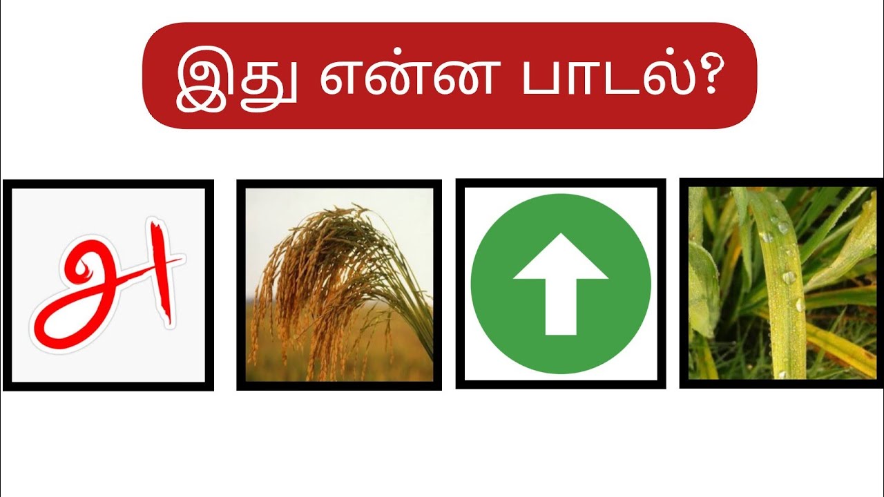 Tamil Connection | bioscope game | guess the tamil song #connection #riddles