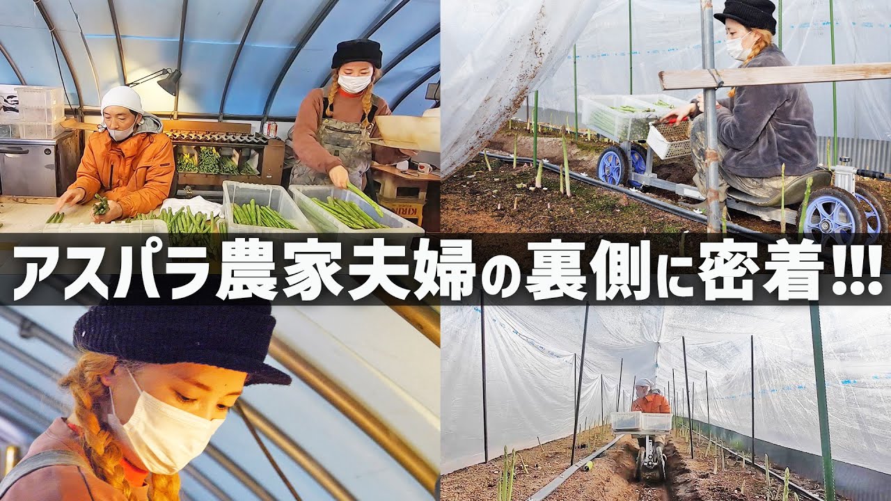 【数ヶ月先まで休みなし！？】夫婦で営むアスパラ農家の裏側に潜入！