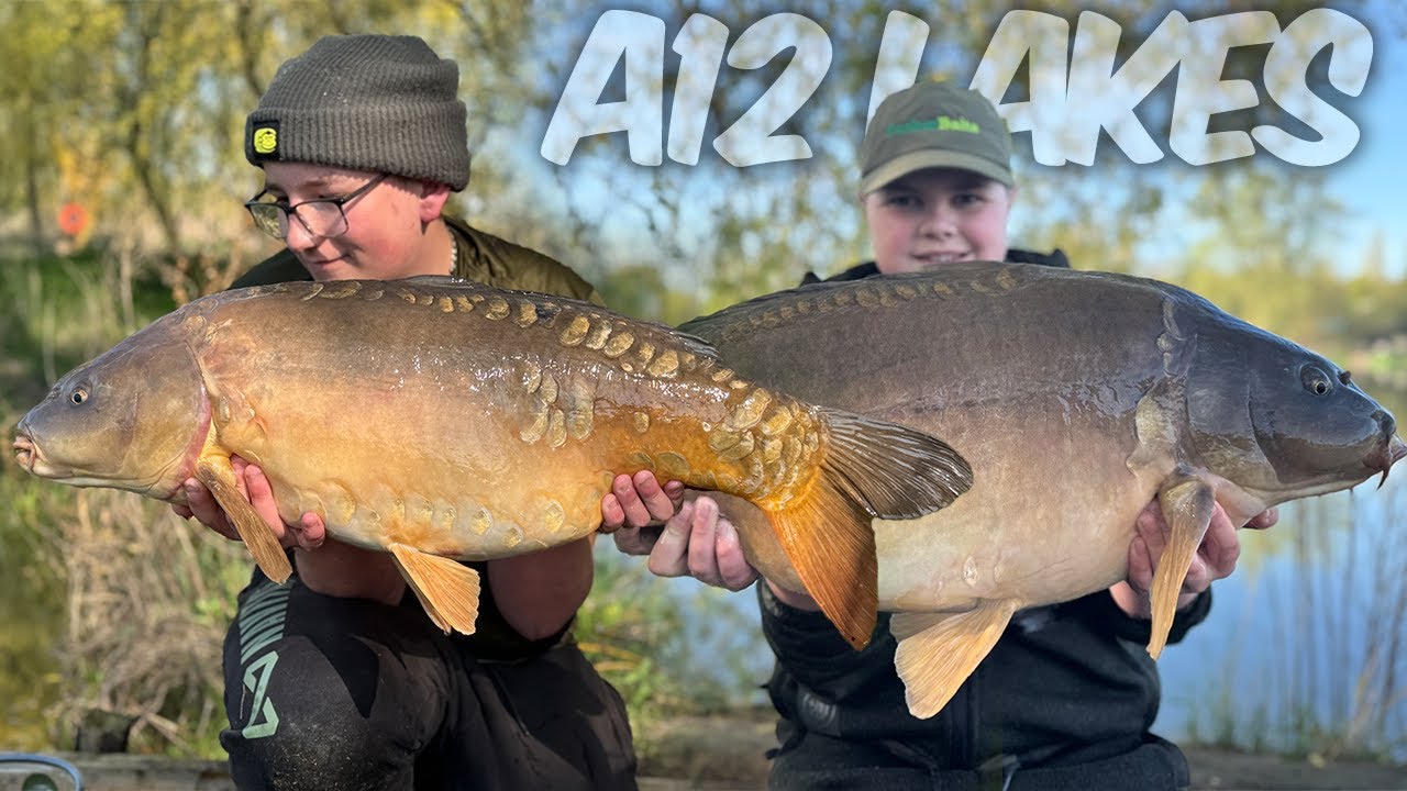 48 Hours at A12 Cuton Lakes – Over 10 Carp Landed Using Zigs!