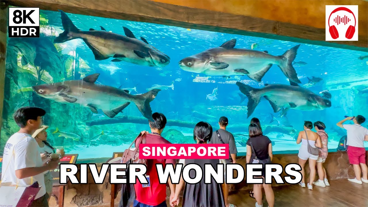 River Wonders Singapore Tour | Singapore City From Different Perspective 🇸🇬🐟🐠