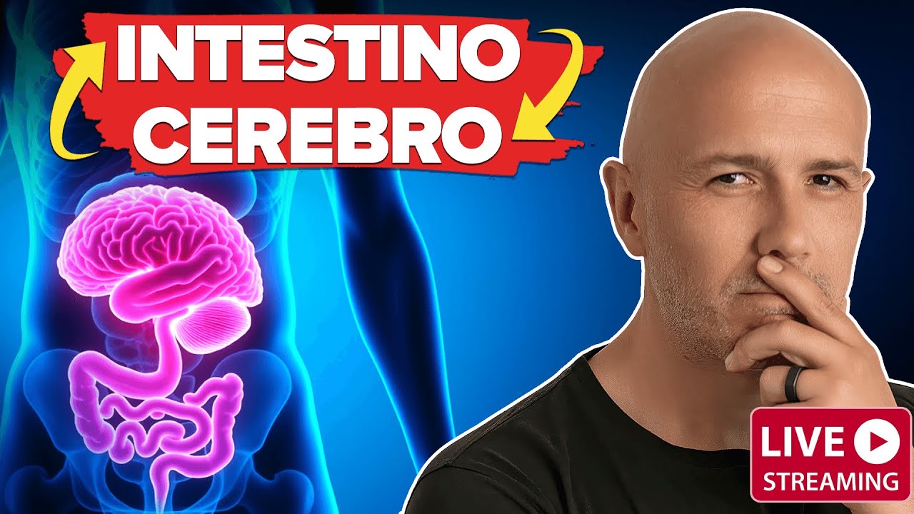 La CONEXIÓN INTESTINO y CEREBRO | El SECRETO Detrás de la ANSIEDAD y la DEPRESIÓN
