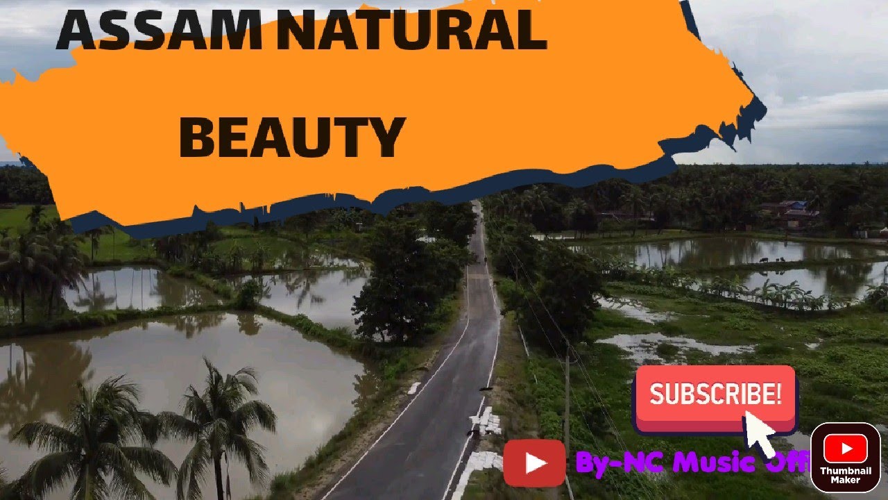 Assam Nagaon,Dhing, Jajori Road||Drone Shoot||Smooth Touch Music||By-NCM Official
