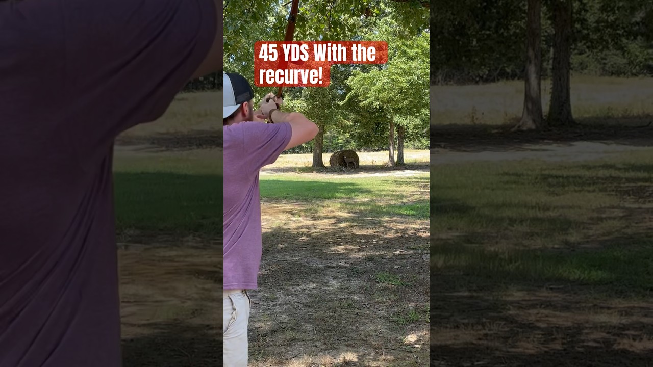How Good Are We At 45 Yards With The Recurve? #outdoors #bowhunting #recurvebow #traditional #shorts