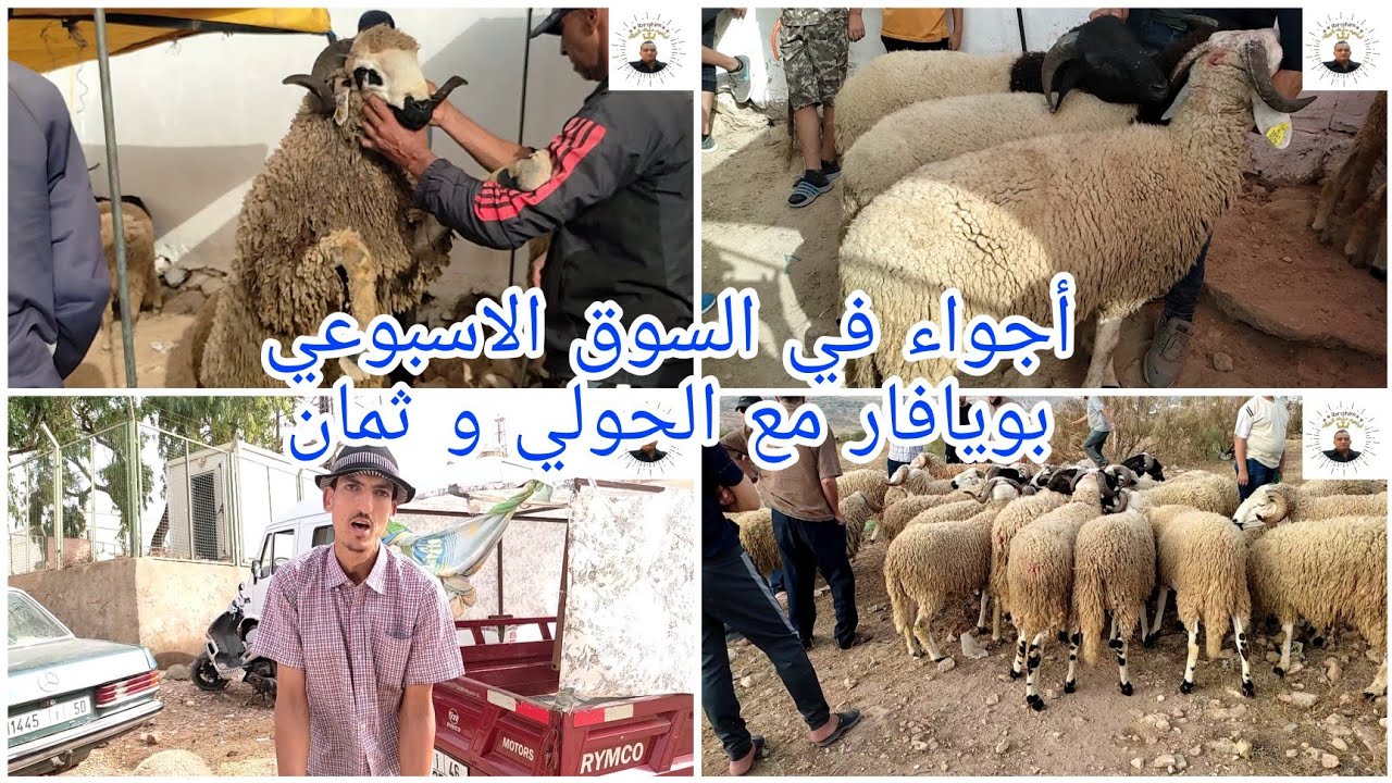 أجواء الحولي وثمن في السوق الاسبوعي بويافار