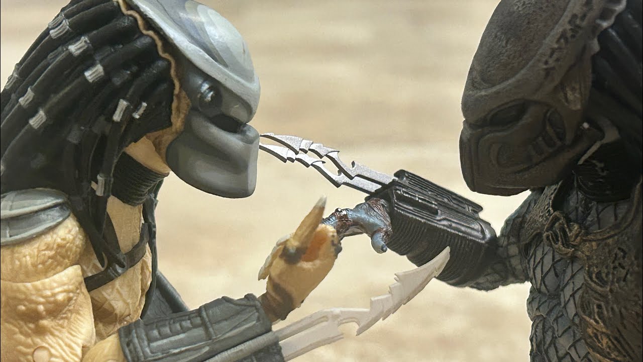 Predator vs warrior Predator￼