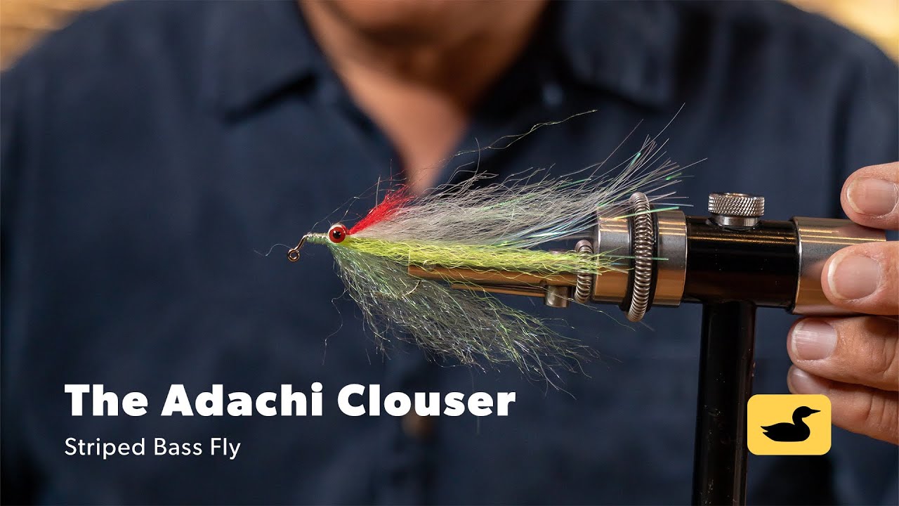 The Adachi Clouser
