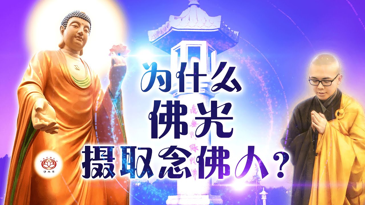 为什么佛光摄取念佛人？ 👼 | 净本法师 主讲