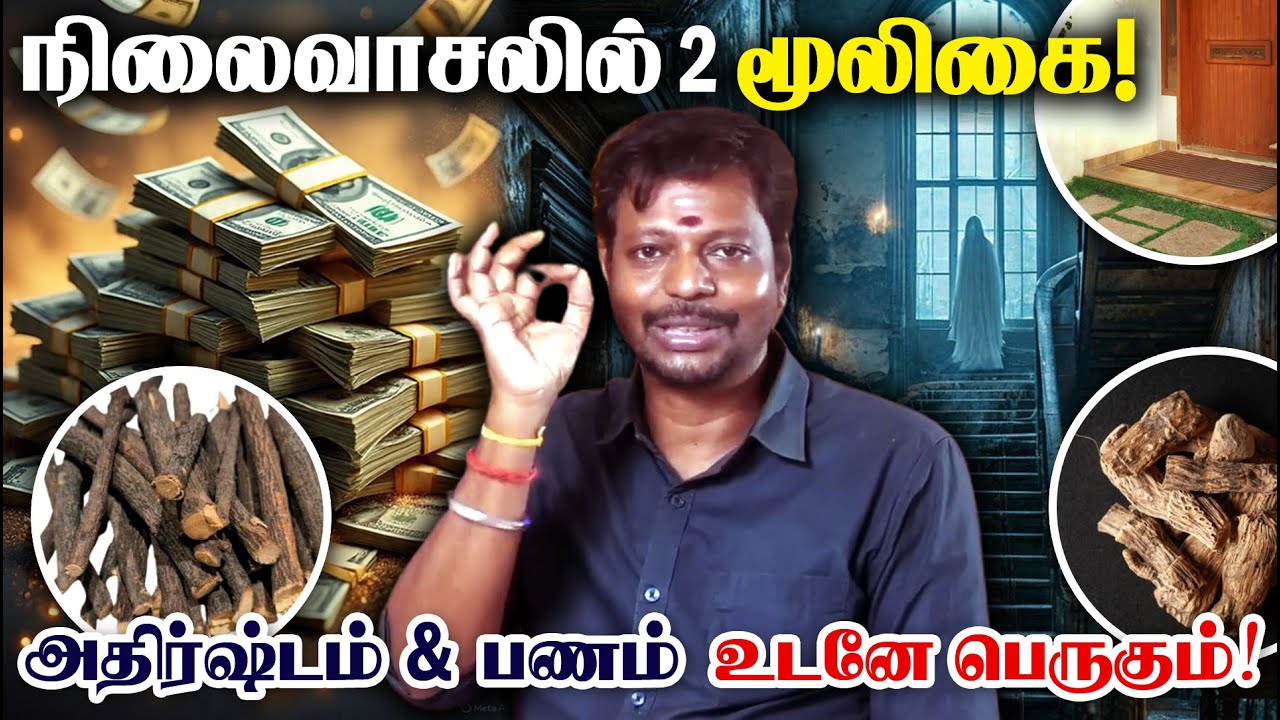 Vastu Tips for Home  | வீட்டில் பணம் கொட்ட நிலைவாசலில் இந்த 2 மூலிகைகளை வைத்தால் போதும்! | Manifest