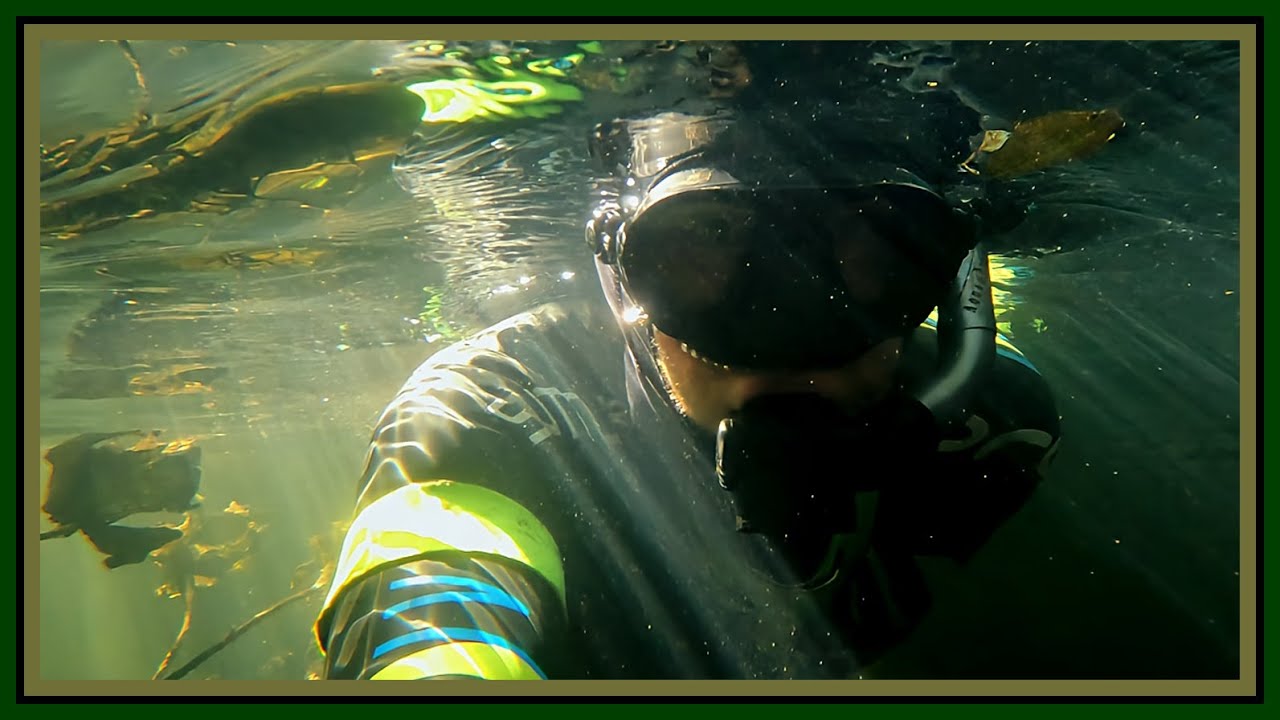 Seatrekking im Herbst (FULL VIDEO)