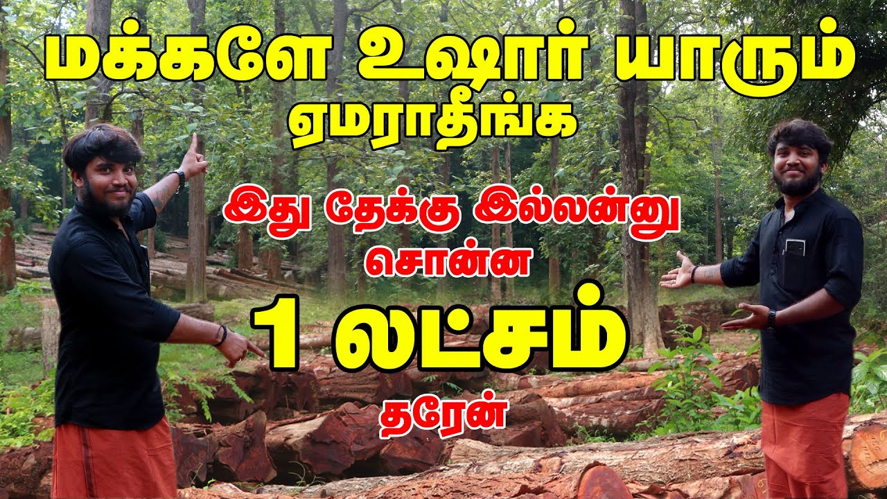 தமிழகத்தில் எங்கும் இல்லை | Cheapest Furniture Market | தேக்கு மர Factory Visit | #erodewala