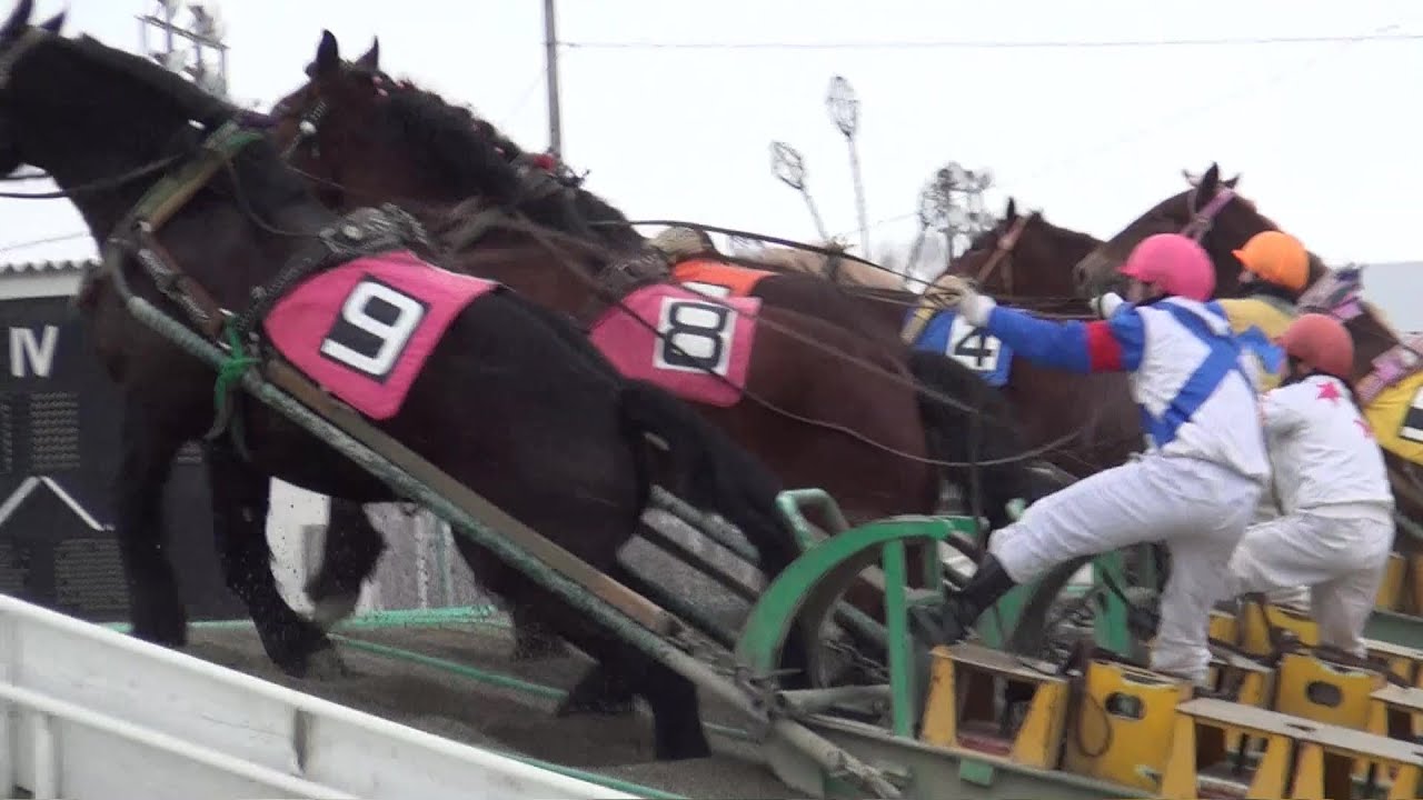 ばんえい競馬(2014冬）帯広競馬場 BanEi-keiba /Horse racing attracts iron sled. （Only in the world）