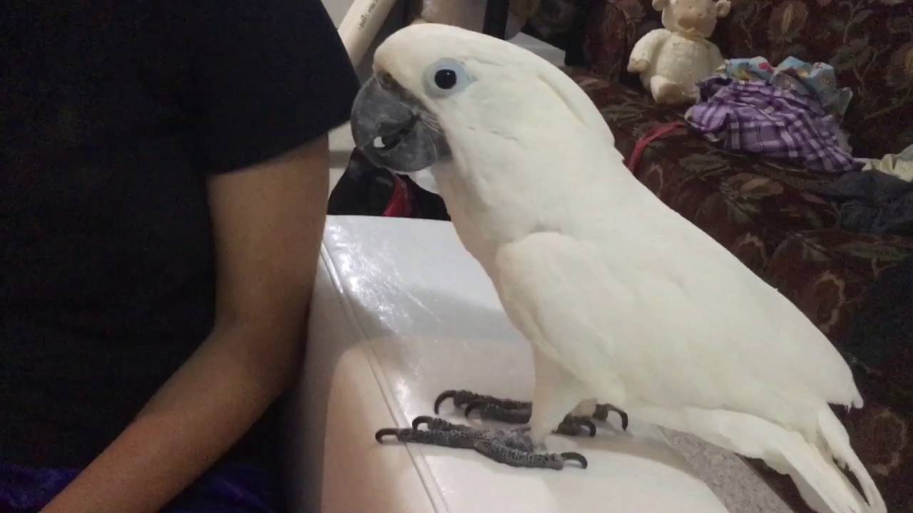 Nail filing🤗🤗🤗