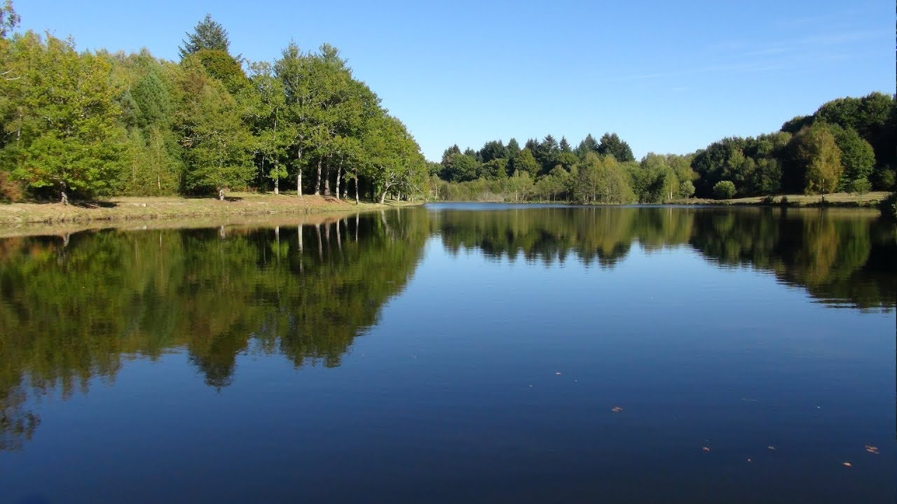 Réservoir du Moulin de Lachaud (19490 Sainte Fortunade)