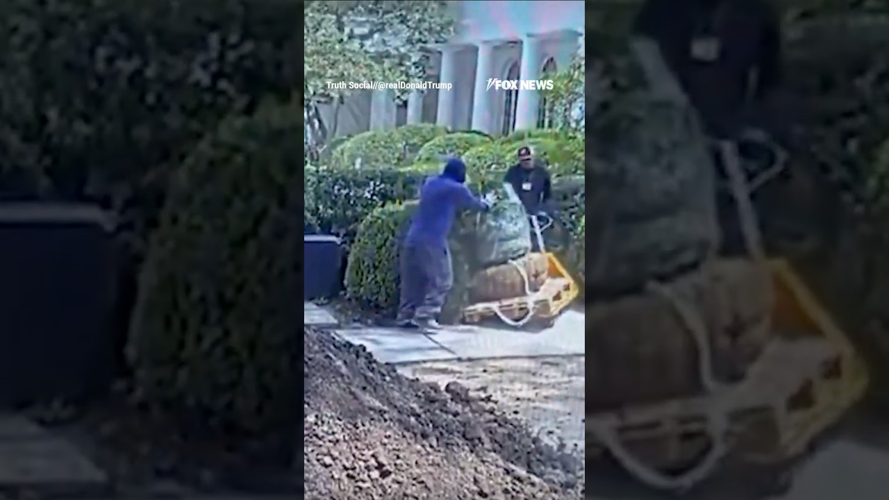 &lsquo;WE CAUGHT THEM&rsquo;: Trump BANS contractor over Rose Garden damage #shorts #foxnews #news #us #fox