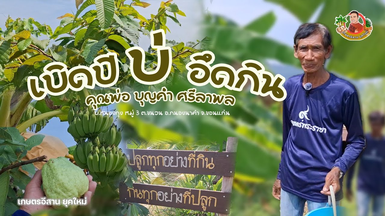สุดยอดคุณตาขุดโคกหนองนา6 ไร่🌳มีกินมีใช้ตลอดชชีวิต