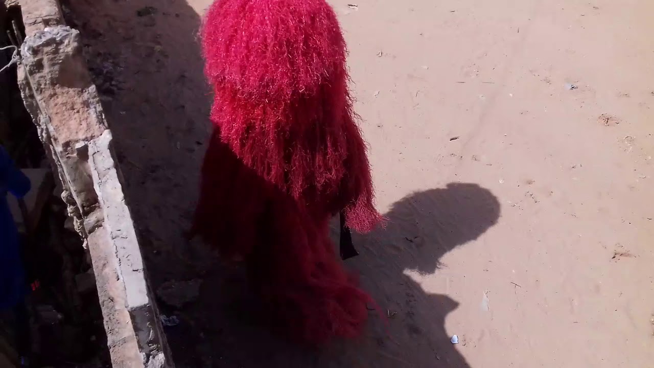Kankourang parcelle assanie