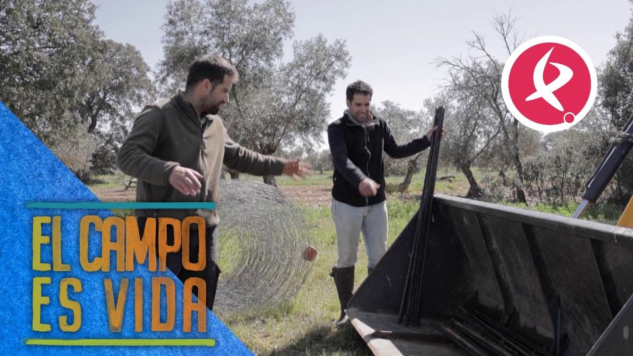 Descoordinación entre hermanos para colocar una alambrada | El Campo es Vida