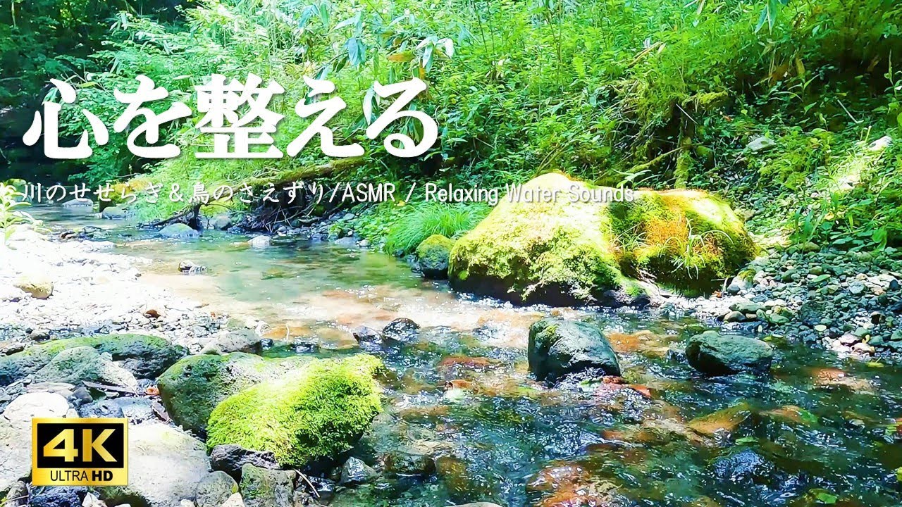 心を整える川のせせらぎ 森に響く鳥のさえずり：緊張緩和、制作活動、デスクワークなどにご活用ください【自然音,ASMR,4K,relaxing  nature sounds】